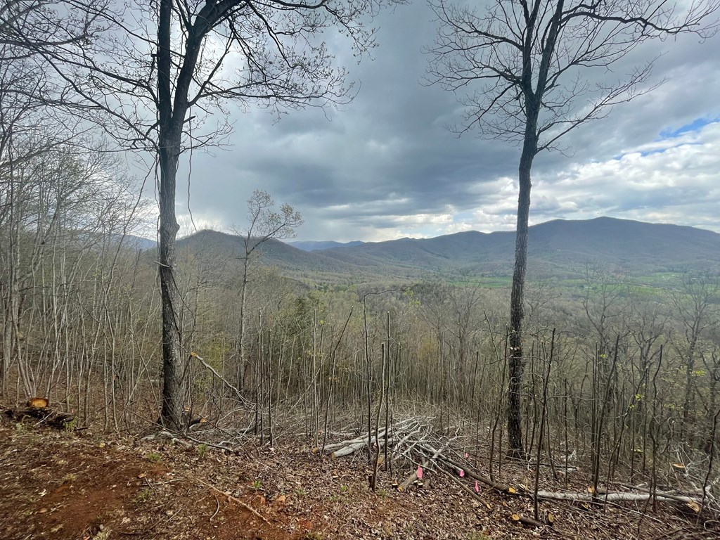 Broken Arrow Trail, HAYESVILLE, North Carolina image 3