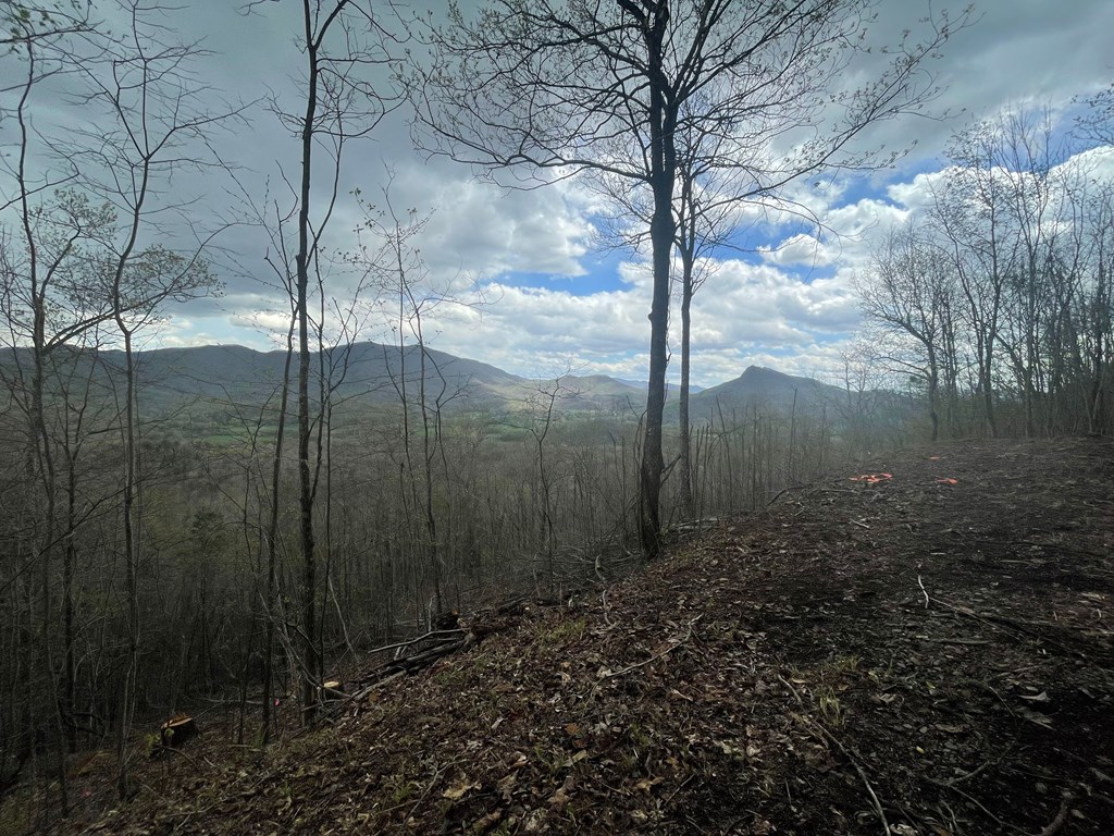 Broken Arrow Trail, HAYESVILLE, North Carolina image 9