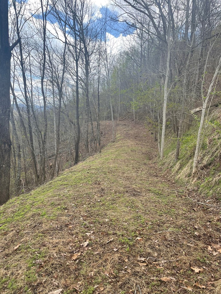 Broken Arrow Trail, HAYESVILLE, North Carolina image 5