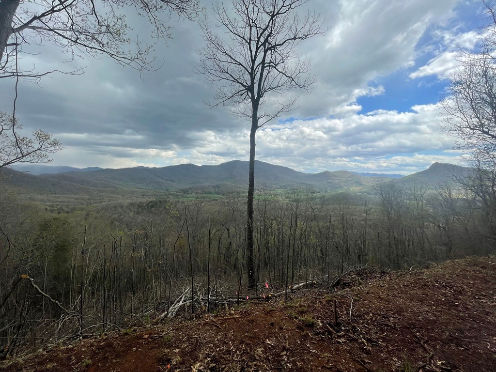 Broken Arrow Trail, HAYESVILLE, North Carolina image 2