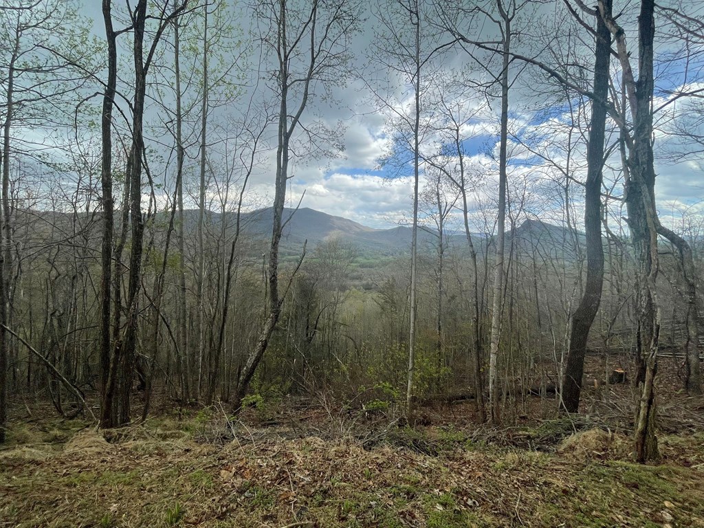 Broken Arrow Trail, HAYESVILLE, North Carolina image 14