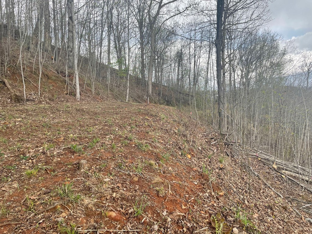 Broken Arrow Trail, HAYESVILLE, North Carolina image 8