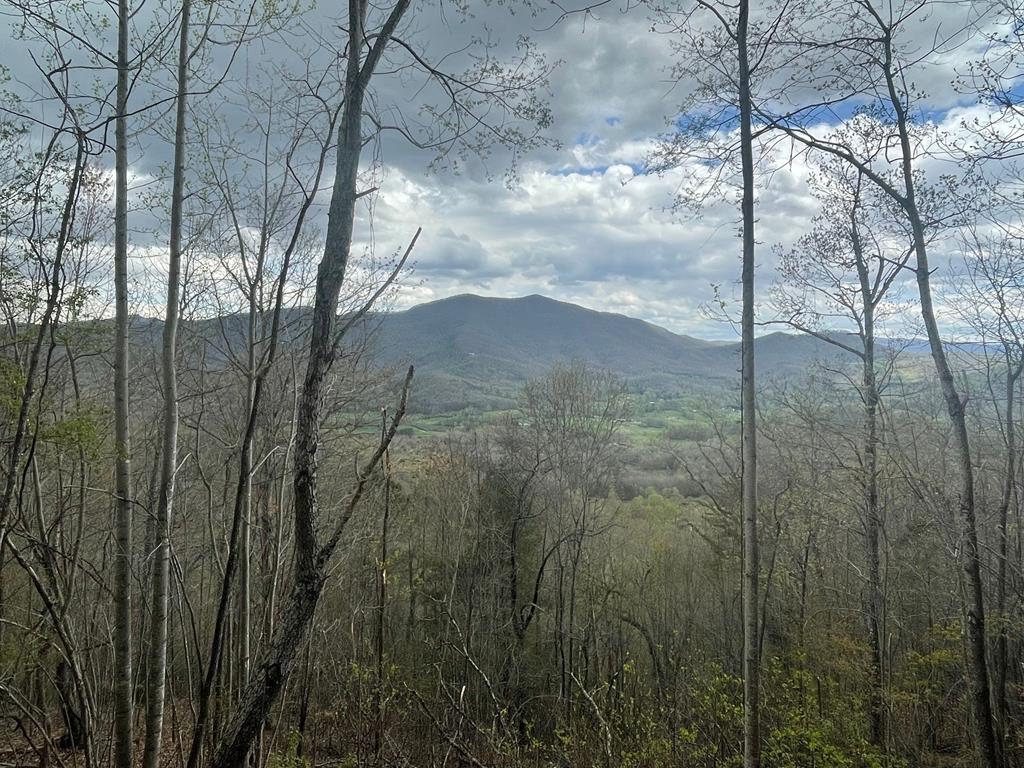 Broken Arrow Trail, HAYESVILLE, North Carolina image 1