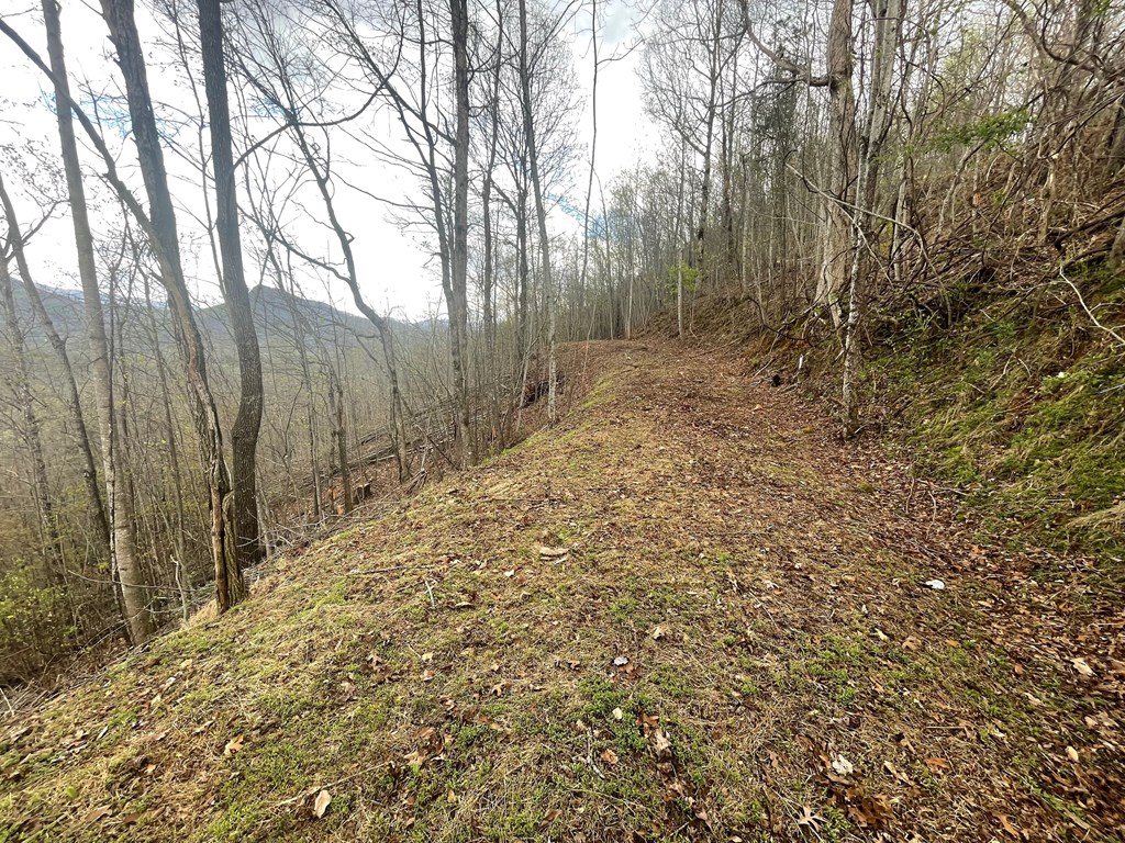 Broken Arrow Trail, HAYESVILLE, North Carolina image 13