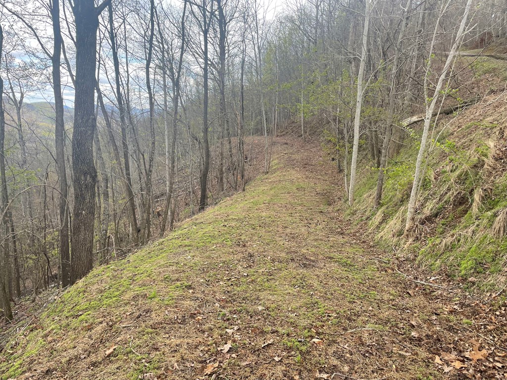 Broken Arrow Trail, HAYESVILLE, North Carolina image 6