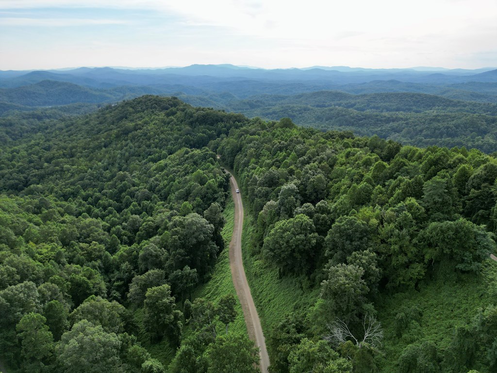 194 Ac Fain Peak, MURPHY, North Carolina image 2