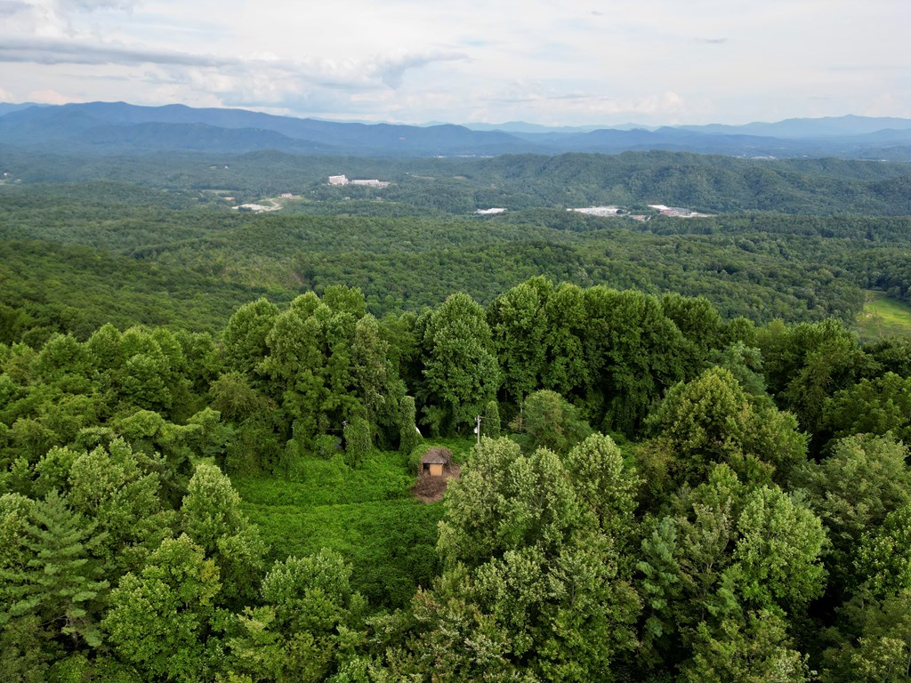 194 Ac Fain Peak, MURPHY, North Carolina image 17