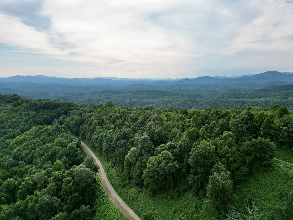 194 Ac Fain Peak, MURPHY, North Carolina image 6