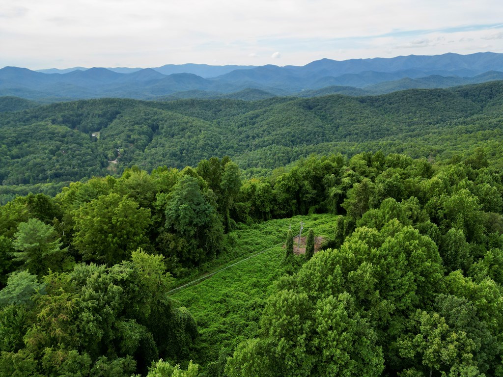 194 Ac Fain Peak, MURPHY, North Carolina image 13