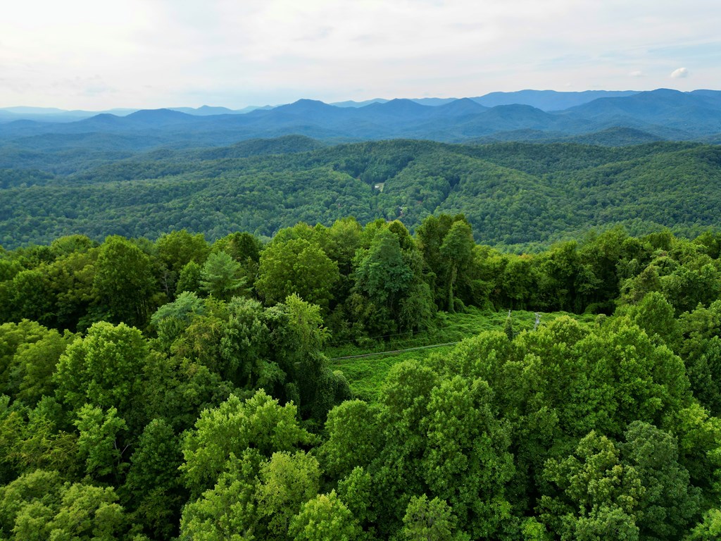 194 Ac Fain Peak, MURPHY, North Carolina image 12