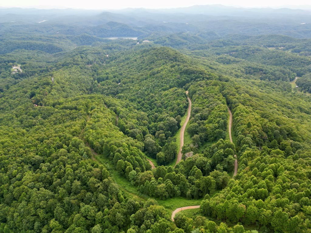 194 Ac Fain Peak, MURPHY, North Carolina image 9