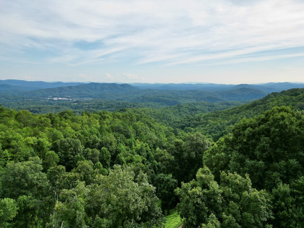 194 Ac Fain Peak, MURPHY, North Carolina image 3