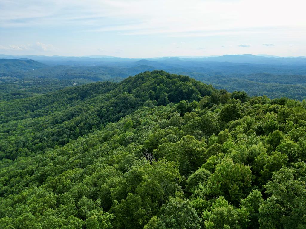 194 Ac Fain Peak, MURPHY, North Carolina image 20