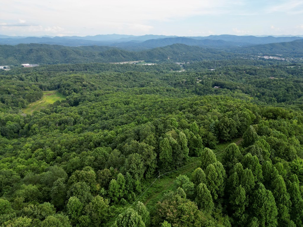 194 Ac Fain Peak, MURPHY, North Carolina image 8