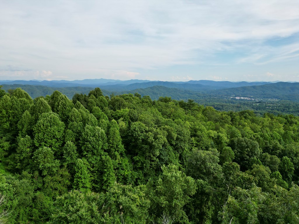 194 Ac Fain Peak, MURPHY, North Carolina image 4