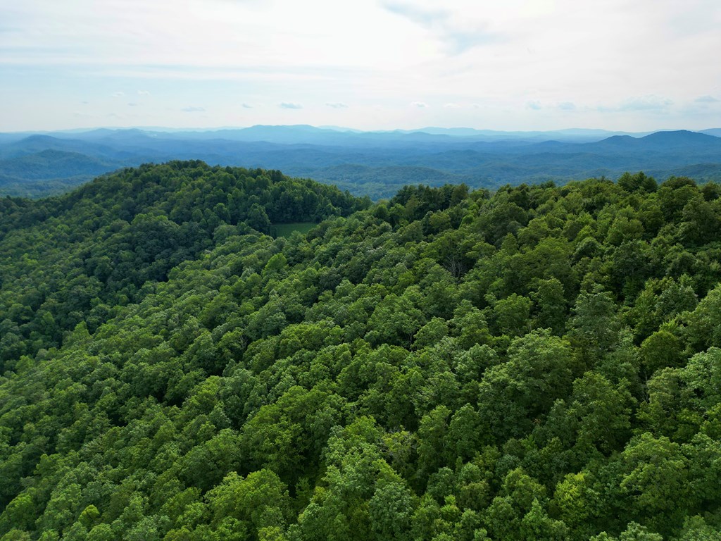 194 Ac Fain Peak, MURPHY, North Carolina image 21