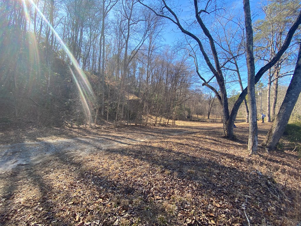 Lot 16 Rushing Water Trail #16, HAYESVILLE, North Carolina image 6