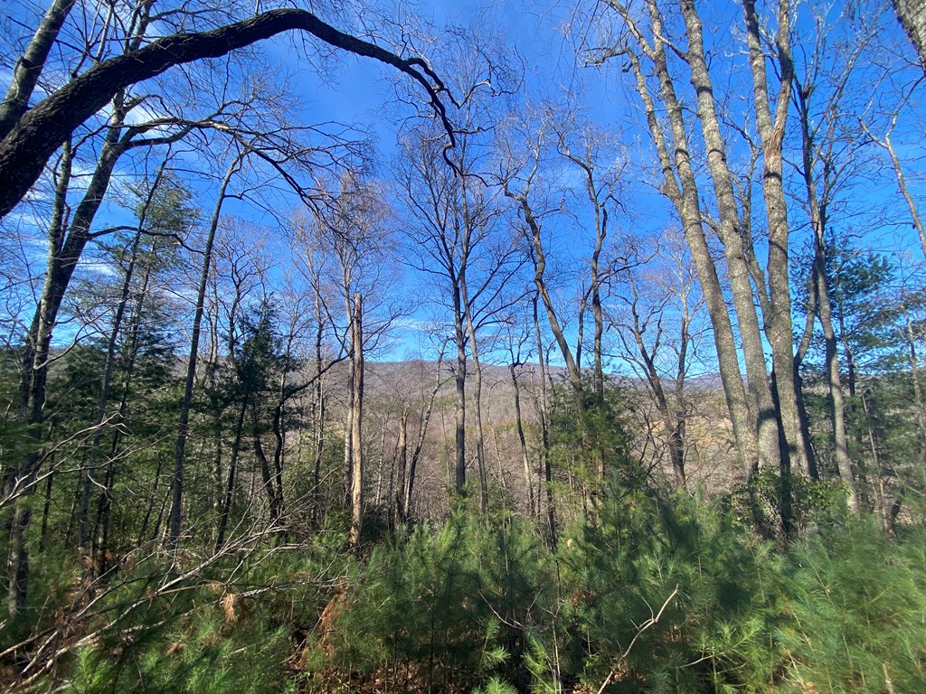 Lot 16 Rushing Water Trail #16, HAYESVILLE, North Carolina image 14