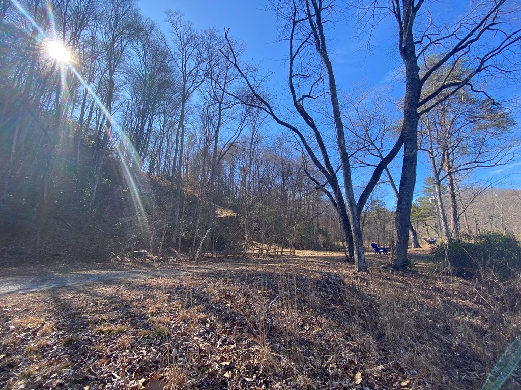 Lot 16 Rushing Water Trail #16, HAYESVILLE, North Carolina image 5