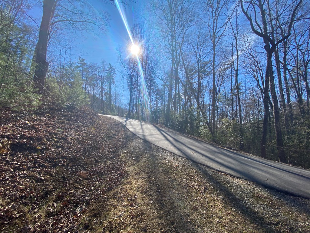 Lot 16 Rushing Water Trail #16, HAYESVILLE, North Carolina image 8
