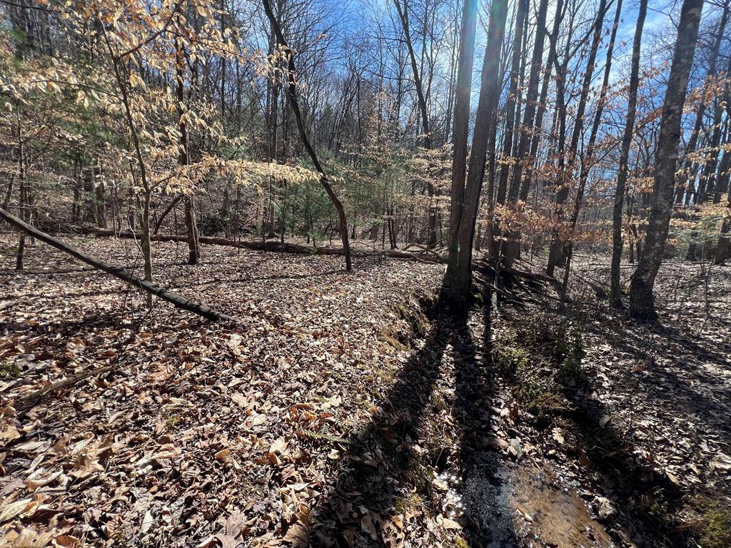 Lot 164 Tracks Hollow #164, MURPHY, North Carolina image 11