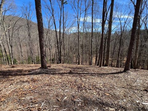 Vacant Land For Sale - LOT 164 Tracks Hollow #164<br/> MURPHY, NC 28906