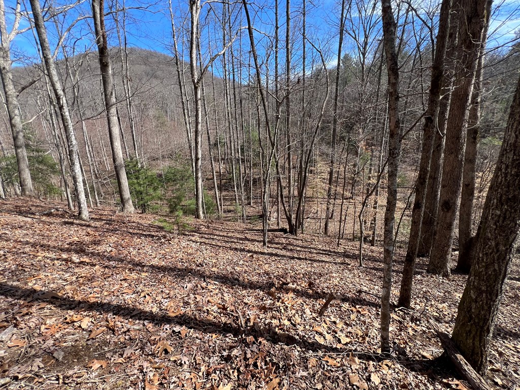 Lot 164 Tracks Hollow #164, MURPHY, North Carolina image 4