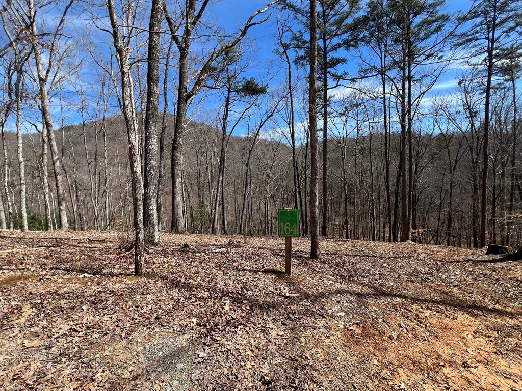 Lot 164 Tracks Hollow #164, MURPHY, North Carolina image 1