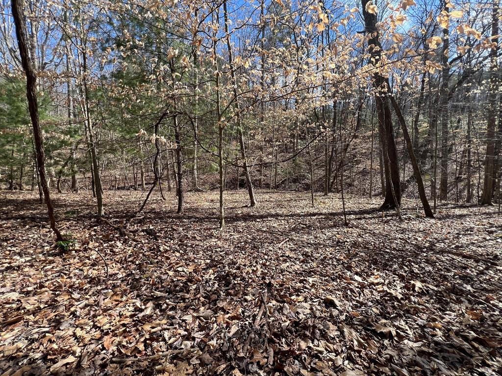 Lot 164 Tracks Hollow #164, MURPHY, North Carolina image 8