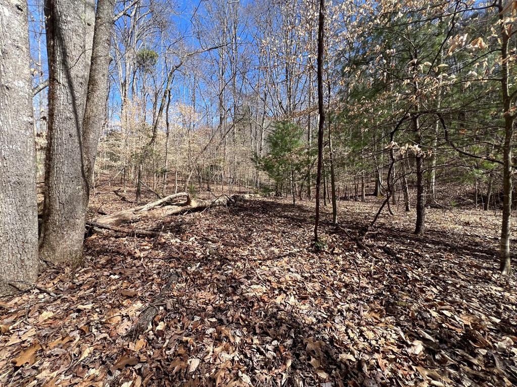 Lot 164 Tracks Hollow #164, MURPHY, North Carolina image 10
