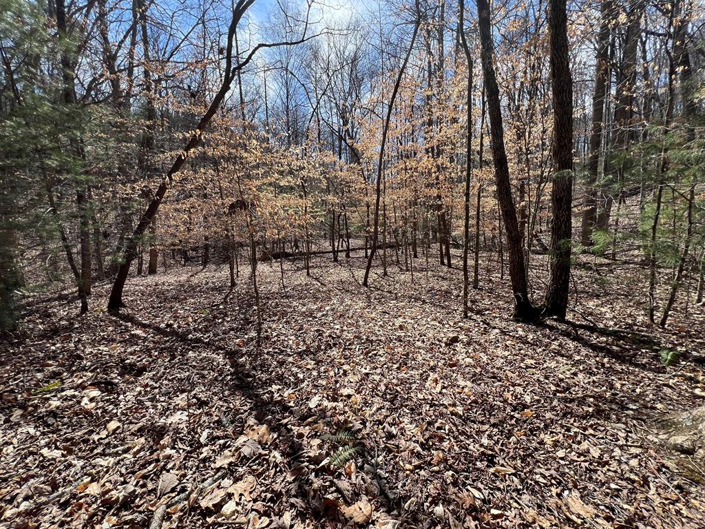 Lot 164 Tracks Hollow #164, MURPHY, North Carolina image 9