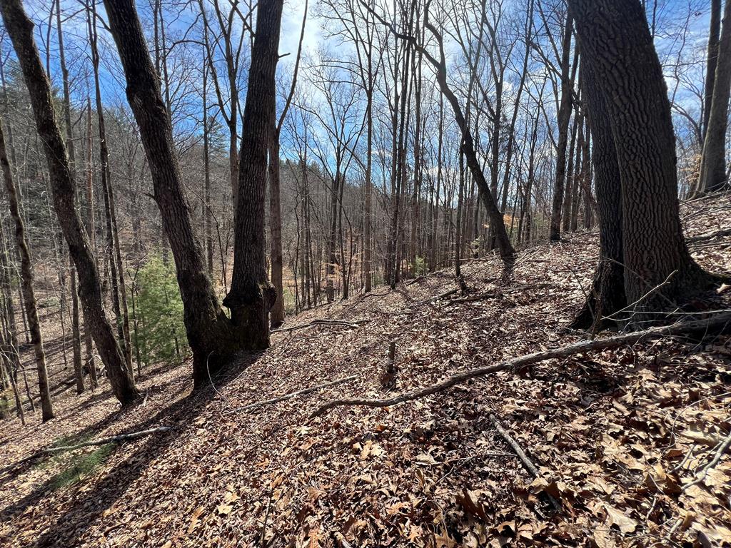 Lot 164 Tracks Hollow #164, MURPHY, North Carolina image 12