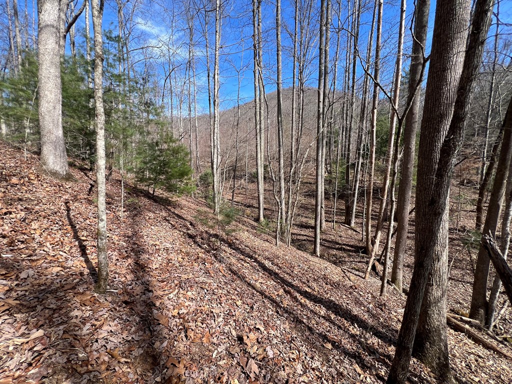Lot 164 Tracks Hollow #164, MURPHY, North Carolina image 5