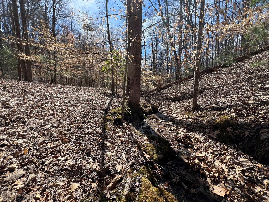Lot 164 Tracks Hollow #164, MURPHY, North Carolina image 7