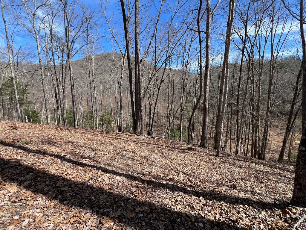 Lot 164 Tracks Hollow #164, MURPHY, North Carolina image 3