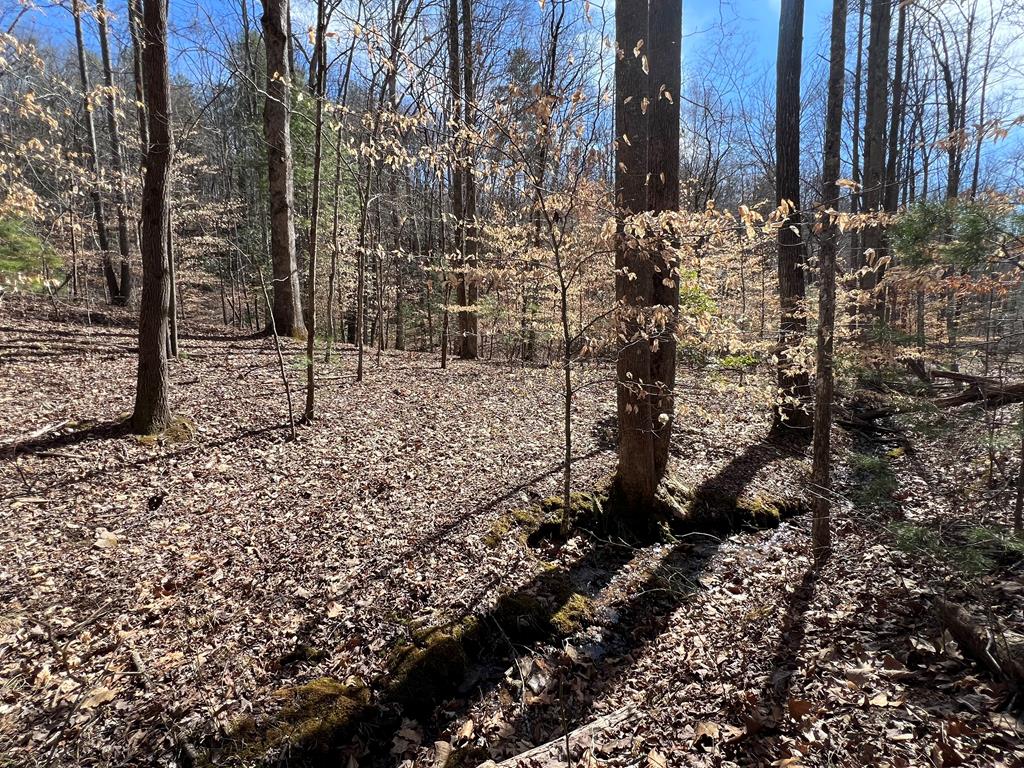 Lot 164 Tracks Hollow #164, MURPHY, North Carolina image 6