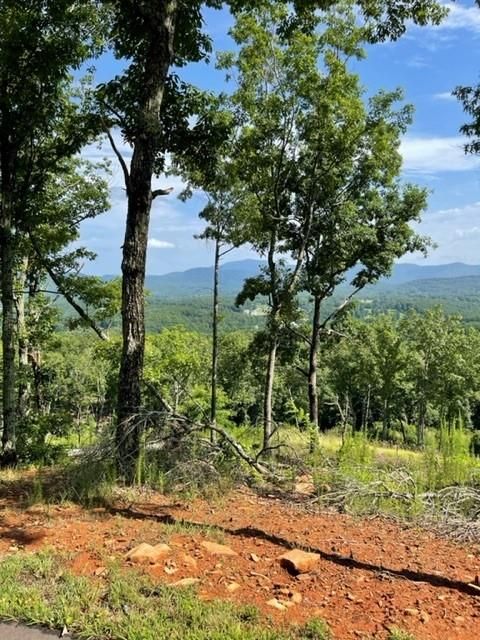 Vacant Land For Sale - 116/117 Highland Park<br/> BLAIRSVILLE, GA 30512