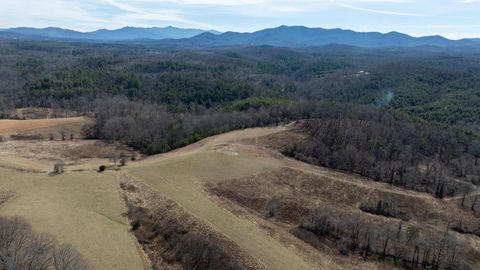 Vacant Land For Sale - Smith Rd<br/> BRASSTOWN, NC 28902