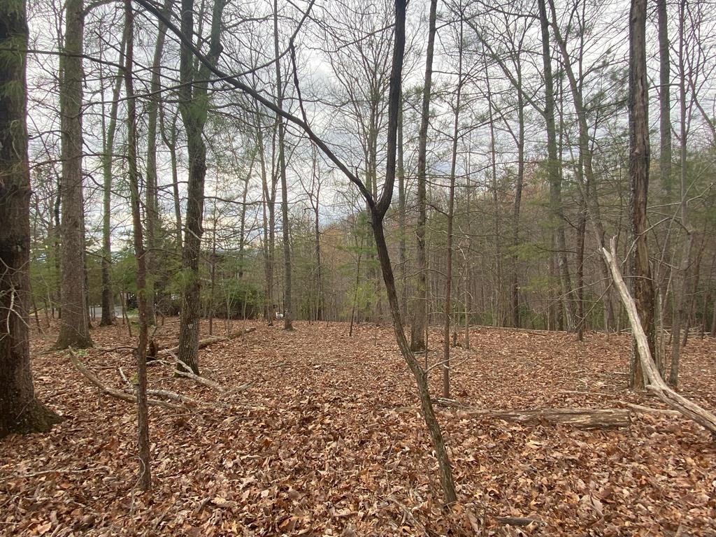 Lot 34 Grandview Falls #3 PH2, ANDREWS, North Carolina image 15