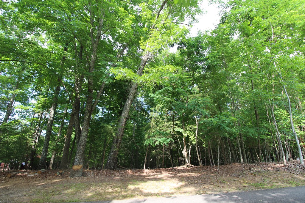 Lot 34 Grandview Falls #3 PH2, ANDREWS, North Carolina image 6