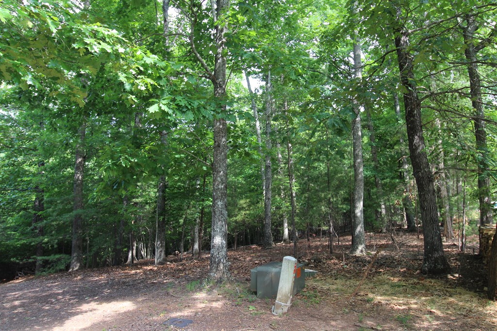 Lot 34 Grandview Falls #3 PH2, ANDREWS, North Carolina image 2