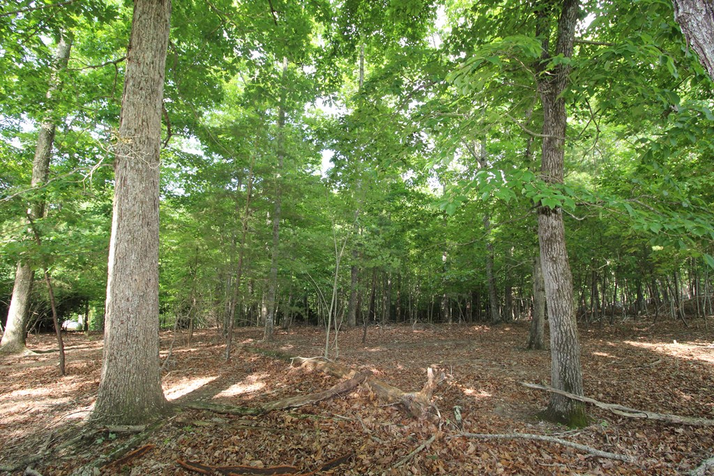 Lot 34 Grandview Falls #3 PH2, ANDREWS, North Carolina image 8