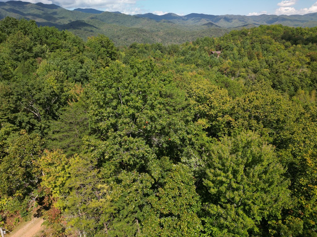 Lot 88 Daylily Drive #88, MARBLE, North Carolina image 8