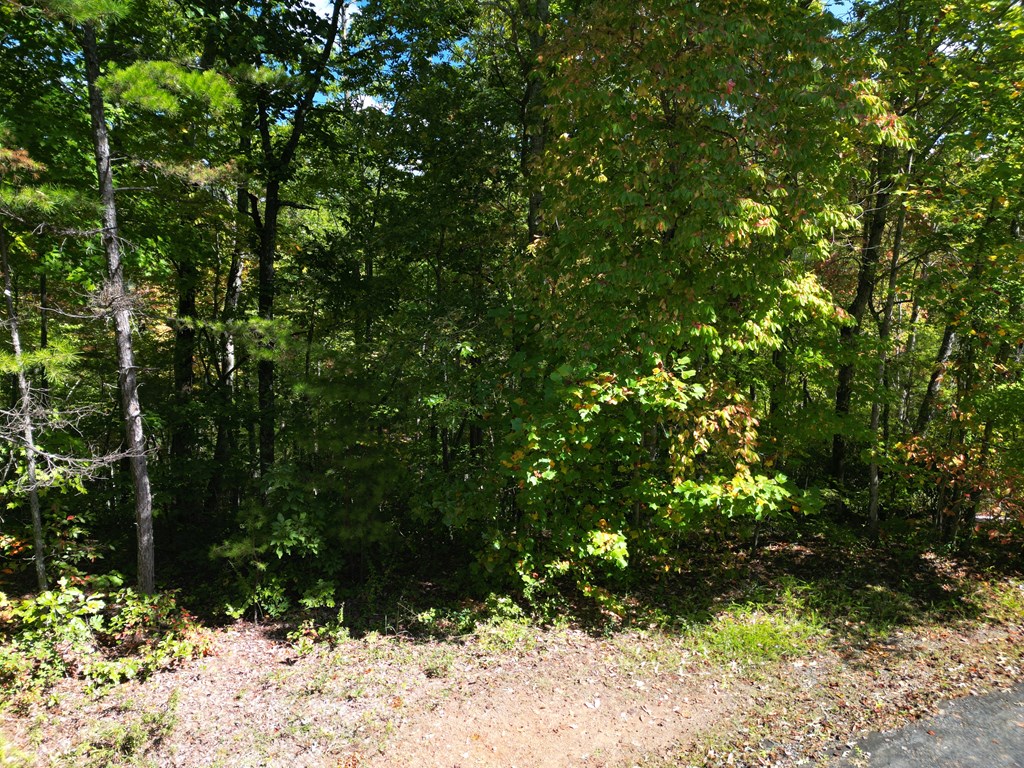 Lot 88 Daylily Drive #88, MARBLE, North Carolina image 7