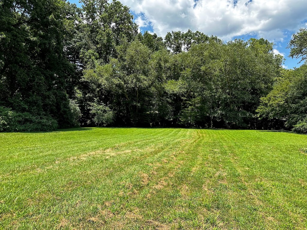 Lot 1 Pauls Meadow #1, HAYESVILLE, North Carolina image 10