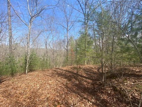 Vacant Land For Sale - Hilltop Road #44A<br/> MURPHY, NC 28906