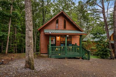 151 Rushmore Lane, MURPHY, North Carolina image 1
