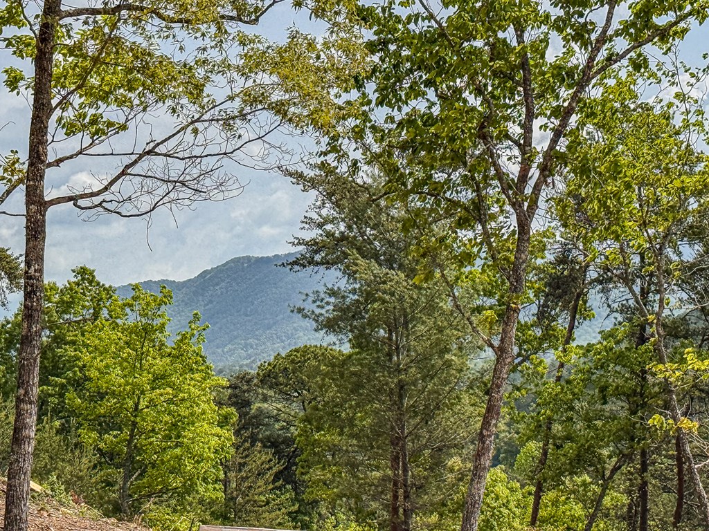 134 Mistletoe Ridge, MURPHY, North Carolina image 2
