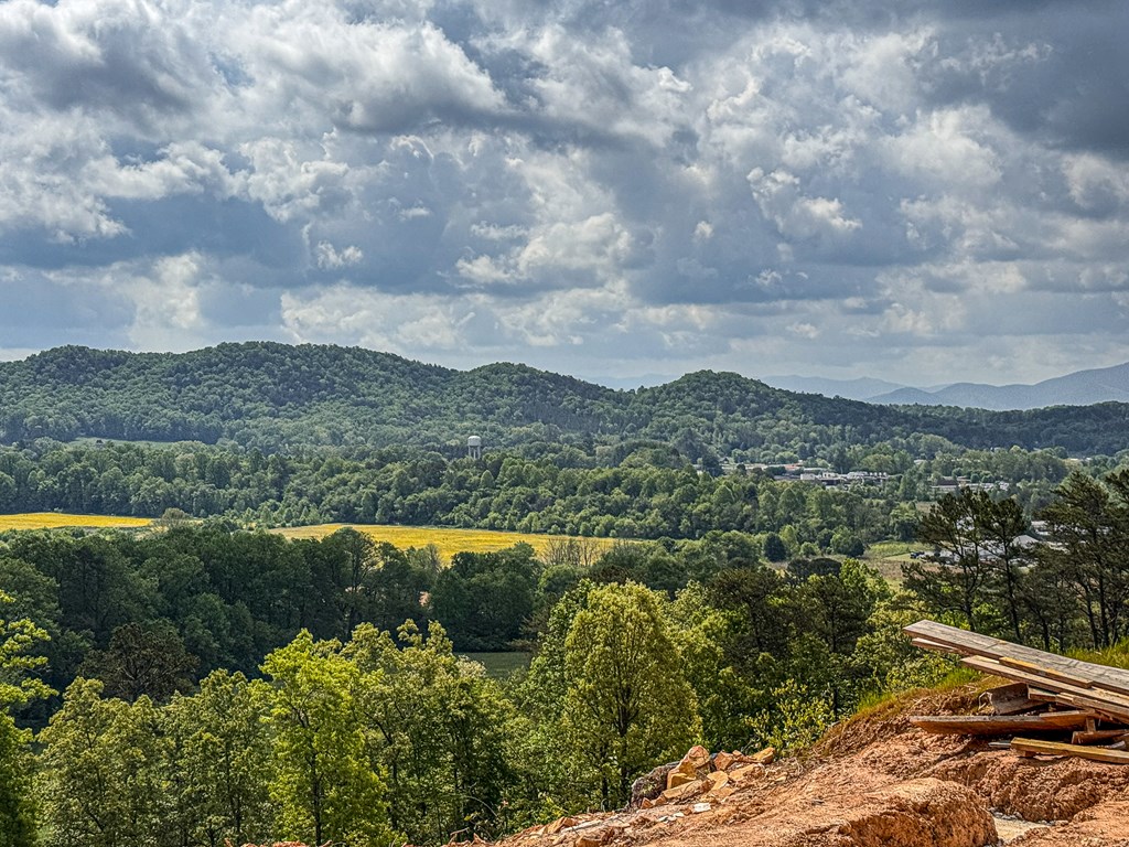 134 Mistletoe Ridge, MURPHY, North Carolina image 4