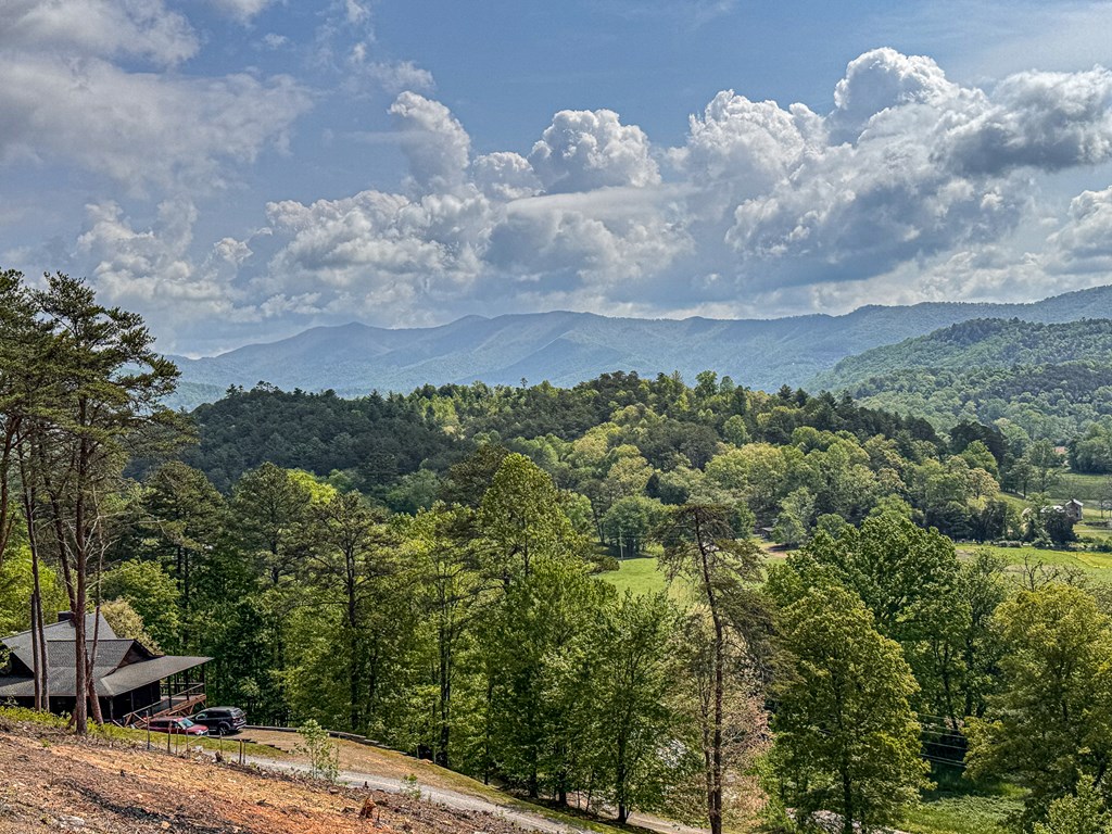 134 Mistletoe Ridge, MURPHY, North Carolina image 9